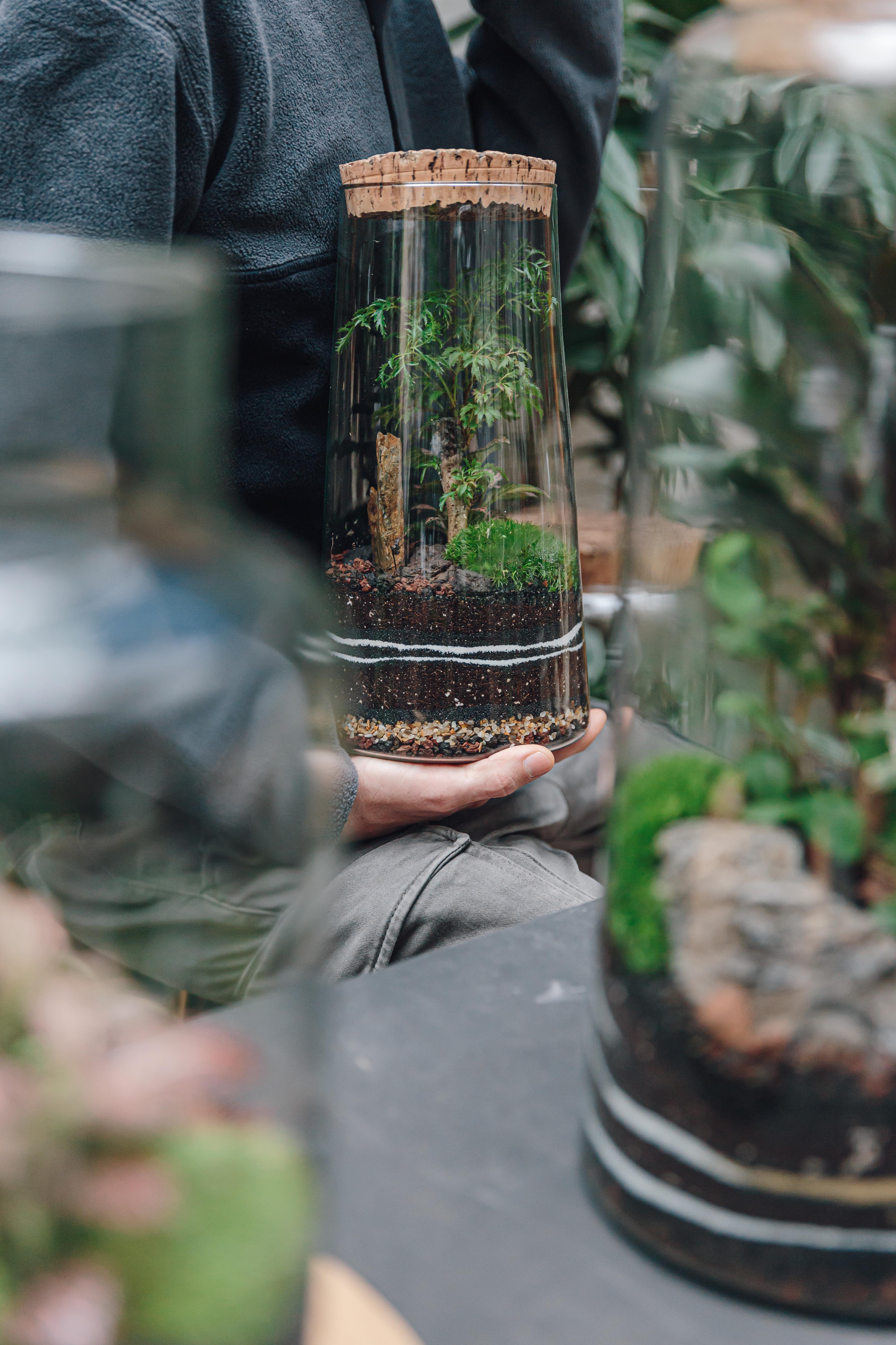 terrāneo HOME - terrarios