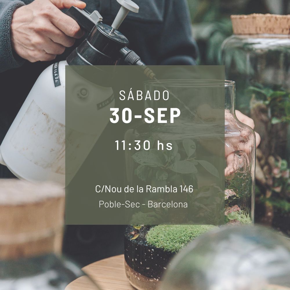 Workshop: Crea tu propio terrario - Sábado 30/9 - 11:30hs